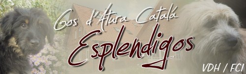 Esplendigos Banner