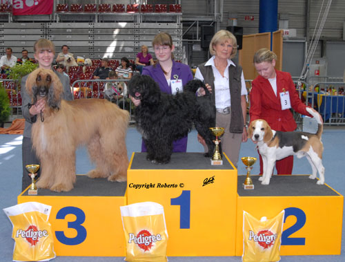 Dana auf der Ausstellung