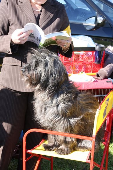 Hundeausstellung Leipzig