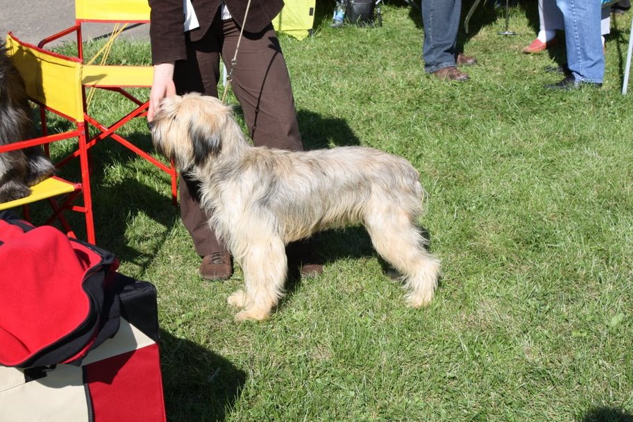 Hundeausstellung Leipzig