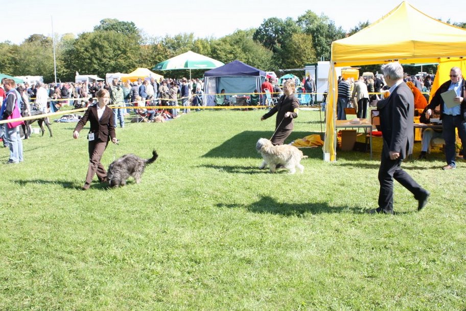 Hundeausstellung Leipzig