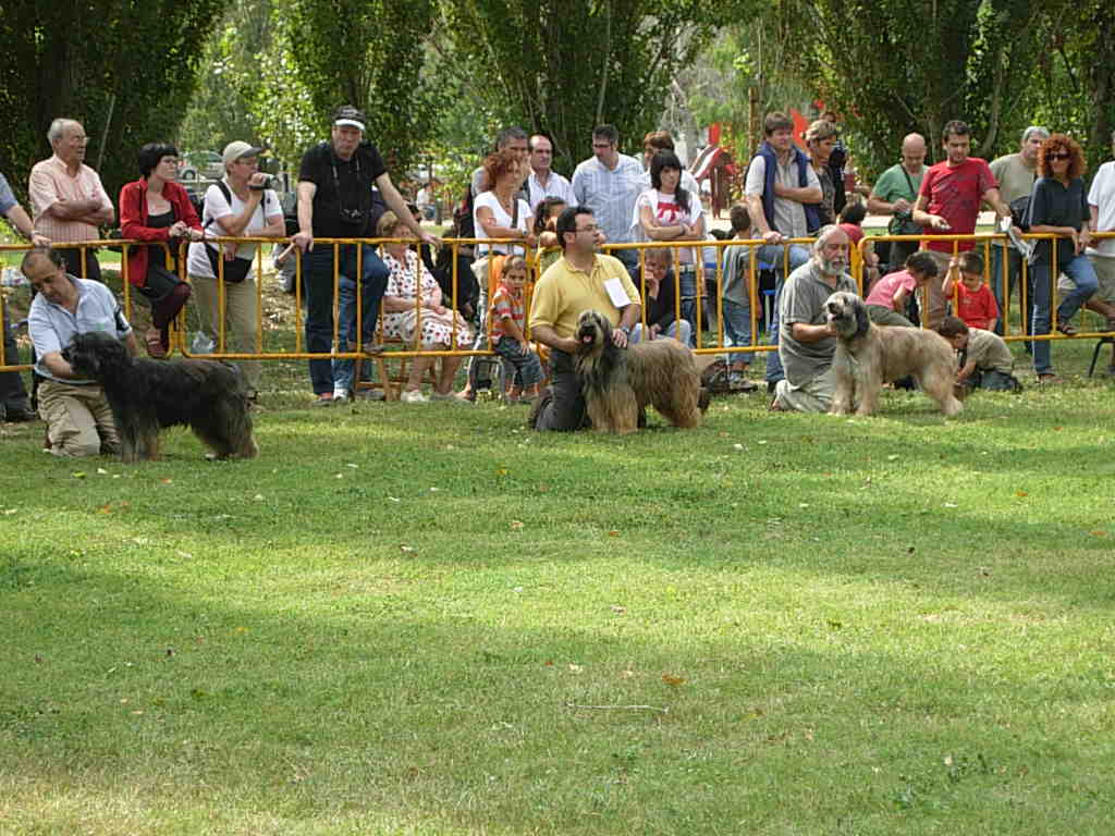 Monogràfica - Banyoles