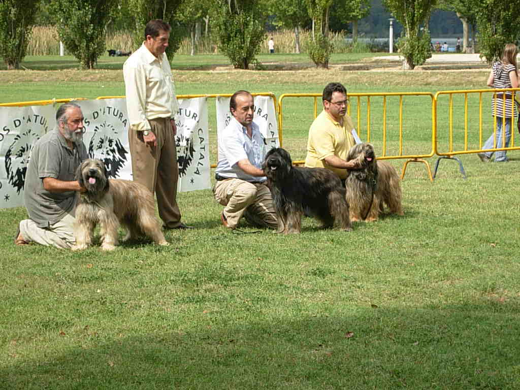 Monogràfica - Banyoles