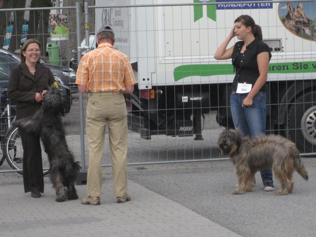 Hundeausstellung Cloppenburg